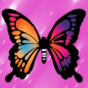 butterflies: 2001