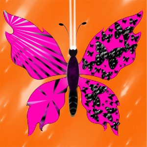 butterflies: 116