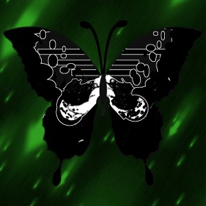 butterflies: 905