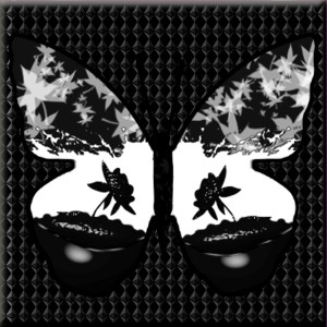 butterflies: 543