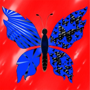 butterflies: 1544