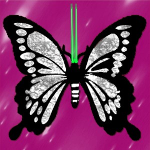 butterflies: 779