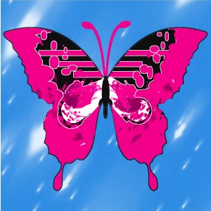 butterflies: 1670