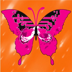 butterflies: 242