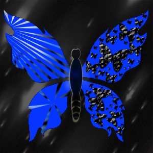 butterflies: 417