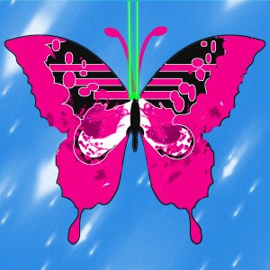 butterflies: 2009