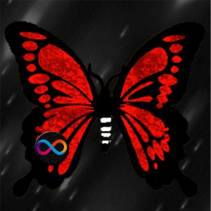 butterflies: 1060