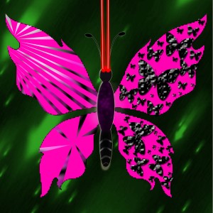 butterflies: 1548