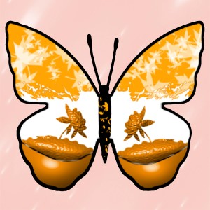butterflies: 2061