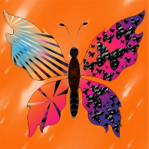 butterflies: 425