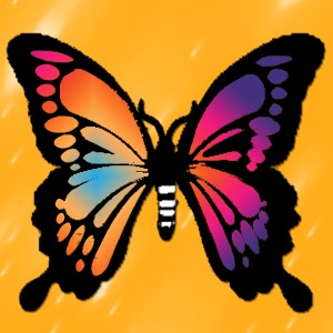 butterflies: 1127