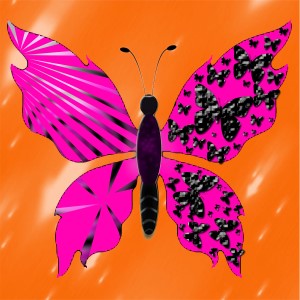 butterflies: 966