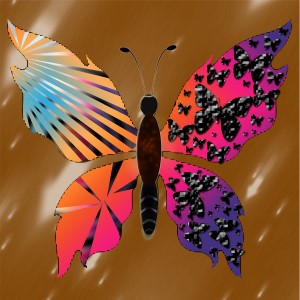 butterflies: 364