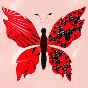 butterflies: 185