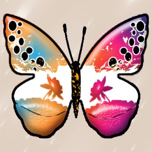 butterflies: 2187