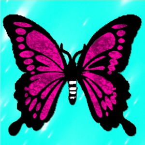 butterflies: 836