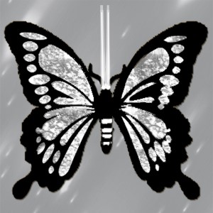 butterflies: 1249