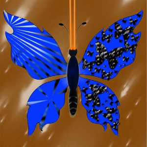 butterflies: 1525
