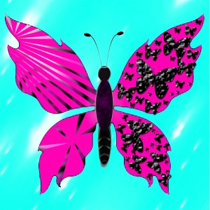 butterflies: 1367