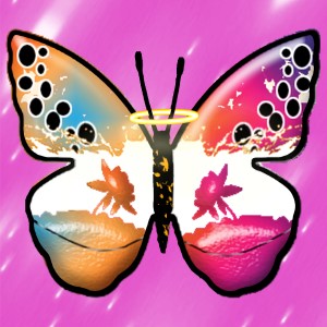 butterflies: 1154