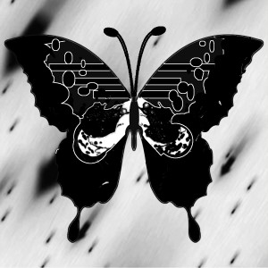 butterflies: 267