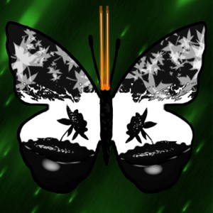 butterflies: 1300