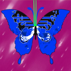 butterflies: 689