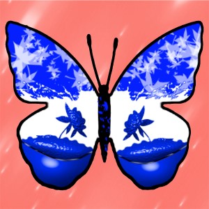 butterflies: 872