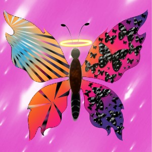 butterflies: 1769