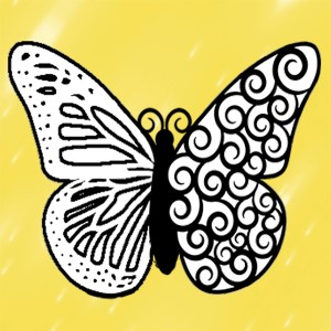 butterflies: 96