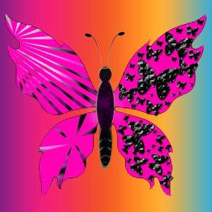 butterflies: 628