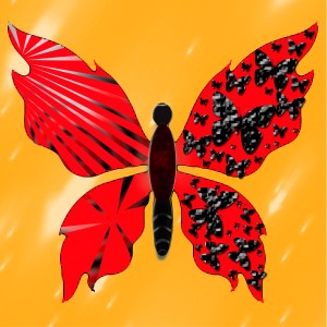 butterflies: 1978
