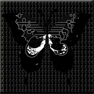 butterflies: 1584