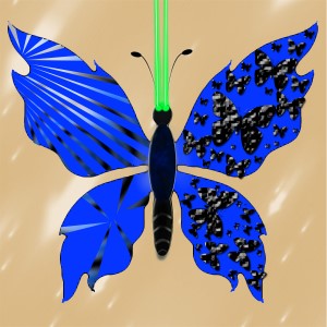 butterflies: 27