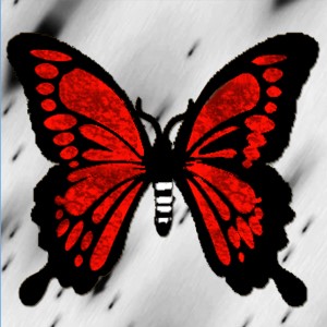 butterflies: 1028