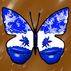 butterflies: 462