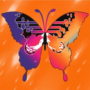 butterflies: 92