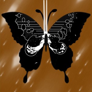 butterflies: 149