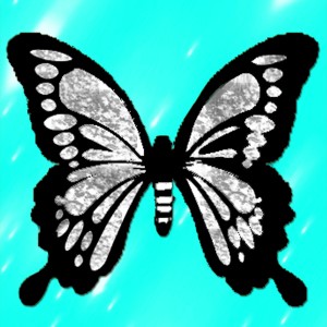 butterflies: 1308