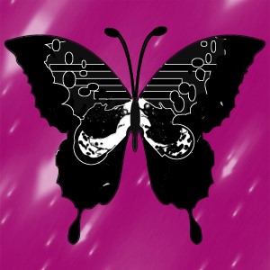 butterflies: 324
