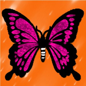 butterflies: 1371