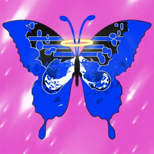 butterflies: 214