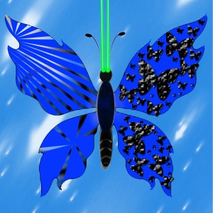 butterflies: 1229