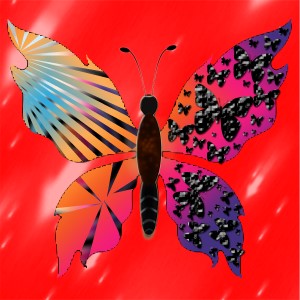 butterflies: 1375