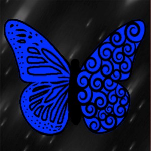butterflies: 1312
