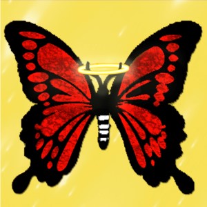 butterflies: 145