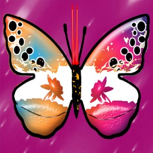 butterflies: 389