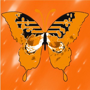 butterflies: 2081