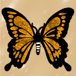 butterflies: 84