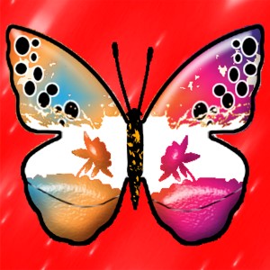 butterflies: 1099